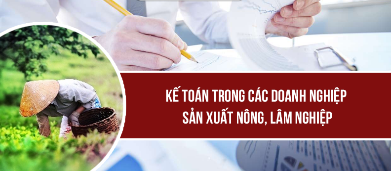 Kế toán trong các doanh nghiệp sản xuất nông, lâm nghiệp