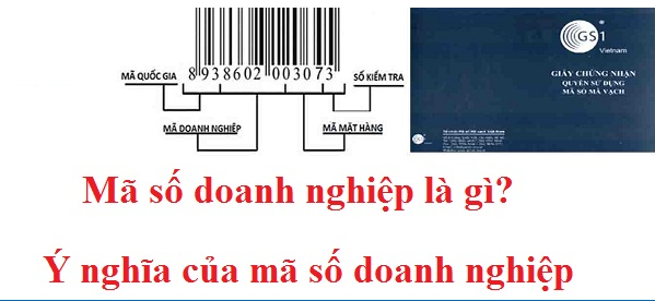 Mã số doanh nghiệp là gì? Ý nghĩa của mã số doanh nghiệp