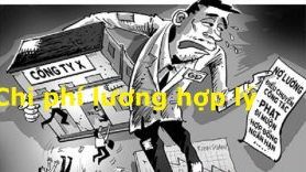 Chi phí lương hợp lý cho khoản lương chưa chi